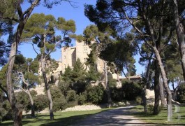 les ch�teaux &agrave; vendre - paca - Provence,-ch&acirc;teau m&eacute;di&eacute;val inscrit M.H.