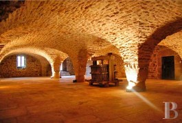 Residences for sale - burgundy - Vine grower�s cottage built on 13th century foundations in Burgundy