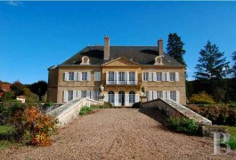Castles / chateaux for sale - burgundy - 18th century, 403 acre, castle -in South Burgundy