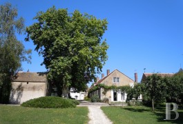les maisons de village &agrave; vendre - bourgogne - En Puisaye-Forterre,-une maison de village 18&egrave;me S.
