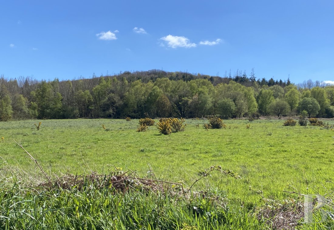 forêts  et terres agricoles à vendre - bretagne - En Bretagne occidentale, dans la vallée du Léguer, à 25 min des plages, un domaine naturel de 91 ha, dont 76 libres d'un seul tenant