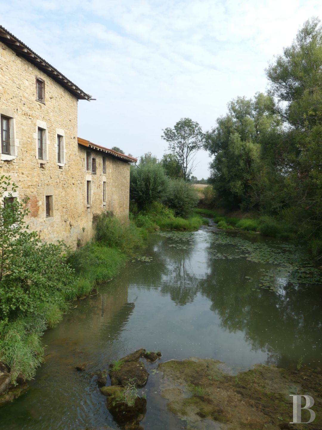 Mills for sale in France RhoneAlpes Bourg en Bresse
