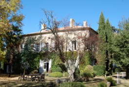 les demeures &agrave; vendre - midi-pyrenees - En Haut-Armagnac,-propri&eacute;t&eacute; viticole r&eacute;put&eacute;e 