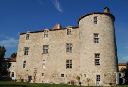 les ch�teaux &agrave; vendre - midi-pyrenees - En T&eacute;nar&egrave;ze, site class&eacute;,-ch&acirc;teau de village du 15&egrave;me S. 
