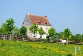 Manors for sale - lower-normandy - In Calvados, a 16th century manor house in 70 ha (753 acres)