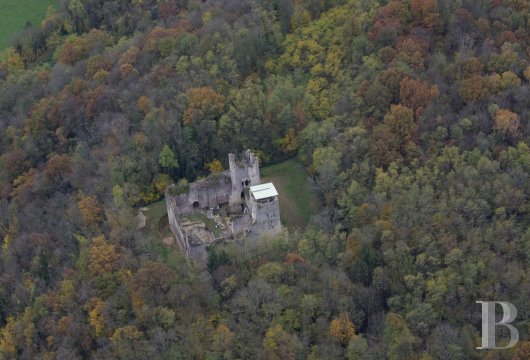 les ruines &agrave; vendre - rhones-alpes - Ch&acirc;teau f&eacute;odal dans l'Ain,
ruine inscrite ISMH