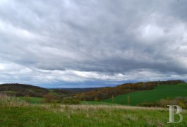 Character houses for sale - midi-pyrenees - In the Pyrenean foothills, a former chapel to be renovated