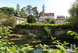 Character houses for sale - poitou-charentes - In a Charente village, vestiges of a 16th century castle within its 12th century perimeter walls