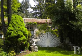 Character houses for sale - languedoc-roussillon - Between Carcassonne and Revel,-an extraordinary garden