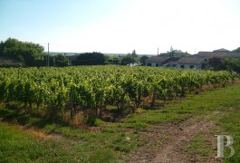 les demeures &agrave; vendre - aquitaine - Demeure de charme,-vignoble bordeaux sup&eacute;rieur

