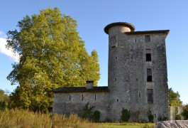 Character houses for sale - aquitaine - A 13th century listed Seigneury, redesigned in the 16th and 17th centuries,
in the Albret region