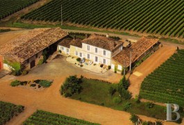 Vineyards for sale - aquitaine - Large Graves appellation vineyard 