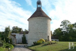les demeures &agrave; vendre - ile-de-france - A 10 kilom&egrave;tres de Meaux, au bord de la Marne, colombier du 18e S. 