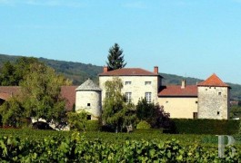 les demeures &agrave; vendre - bourgogne - Un prieur&eacute;, une salle de musique, en plein vignoble bourguignon