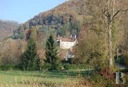 Castles / chateaux for sale - rhones-alps - A castle and vast outbuildings in a 19 ha estate between Savoy and Bugey 1 hour from Geneva 