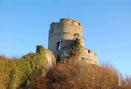 Ruins for sale - upper-normandy - The 11th/12th century ruins of a listed castle
70 km from Paris