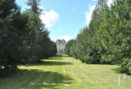 les for�ts  et terres agricoles &agrave; vendre - centre-val-de-loire - Loiret, proche de Montargis,
propri&eacute;t&eacute; foresti&egrave;re de 195 hectares, libre