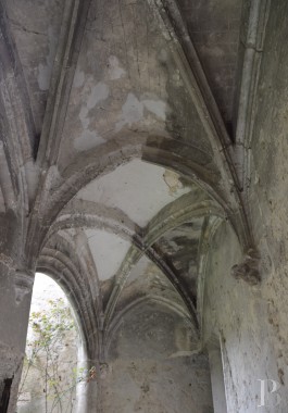 rhones-alps - A 12th & 15th century castle awaiting renovation <br/>in a small village in the Drome Provençale region