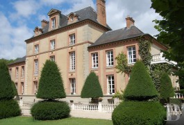 Castles / chateaux for sale - ile-de-france - Facing the Seine, 50 km south of Paris-Louis XIII castle  