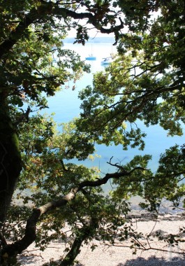 brittany - A large residence and its lush 2 ha garden <br/>100 m from the sea near Crozon in Brittany