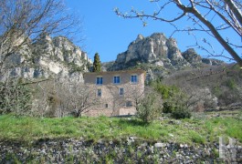 Character houses for sale - provence-cote-dazur - Dominating a valley above Nice, 17th century traditional mas house and its olive trees in 18 ha