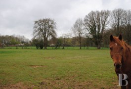 Character houses for sale - pays-de-loire - In the Anjou region, land of King Ren&eacute;Country,-house near to a village 
