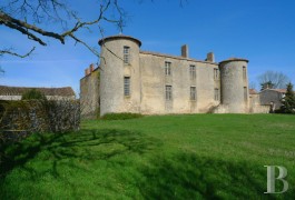 Historic buildings for sale - poitou-charentes - In the Poitou region,-15th century listed castle and its listed chapel 