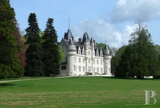 les ch�teaux &agrave; vendre - poitou-charentes - En Poitou,-ch&acirc;teau du 19&egrave;me S. et son parc de 18ha