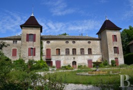 Castles / chateaux for sale - rhones-alps - 30 minutes from Lyon in the Rhone-Alpes region, 17th century castle 