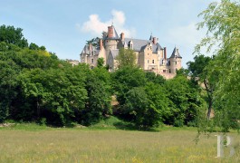 les ch�teaux &agrave; vendre - poitou-charentes - En Poitou, ch&acirc;teau des 15&egrave;me et 19&egrave;me S. Inscrit MH et Class&eacute; MH