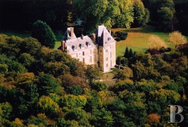 Castles / chateaux for sale - ile-de-france - In the G&acirc;tinais Nature Park,-castle for professional purposes 