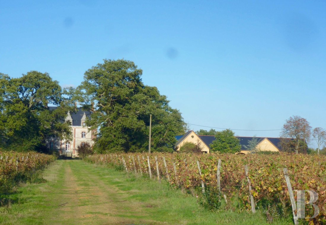 A 45 ha vineyard, with a 19th century manor house and 22 ha of vines, in the south of the Anjou