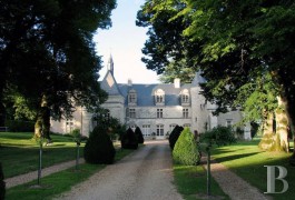Historic buildings for sale - center-val-de-loire - Renaissance-style listed castle-in 73 acres 
