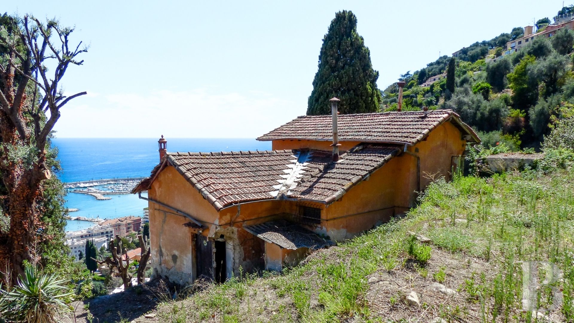 An old, 1.5 ha olive grove in the midst of Menton, dominating the port