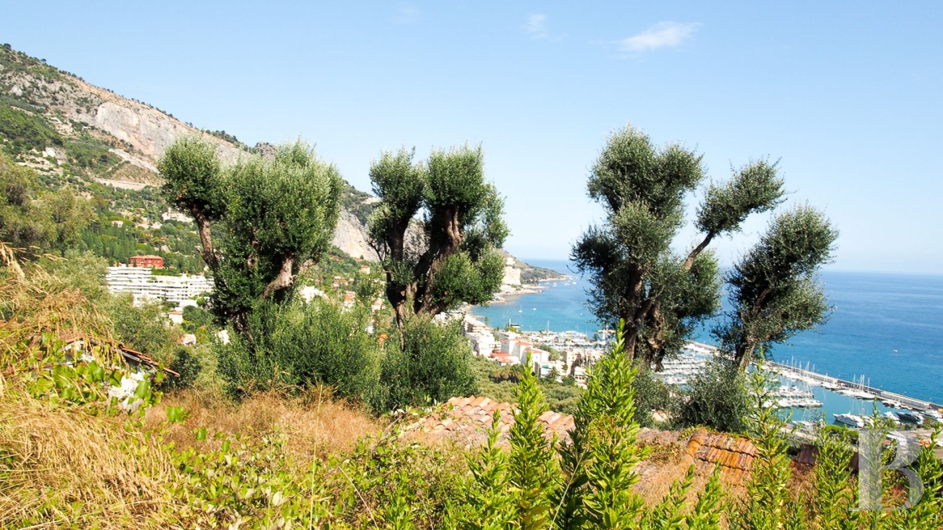 An old, 1.5 ha olive grove in the midst of Menton, dominating the port