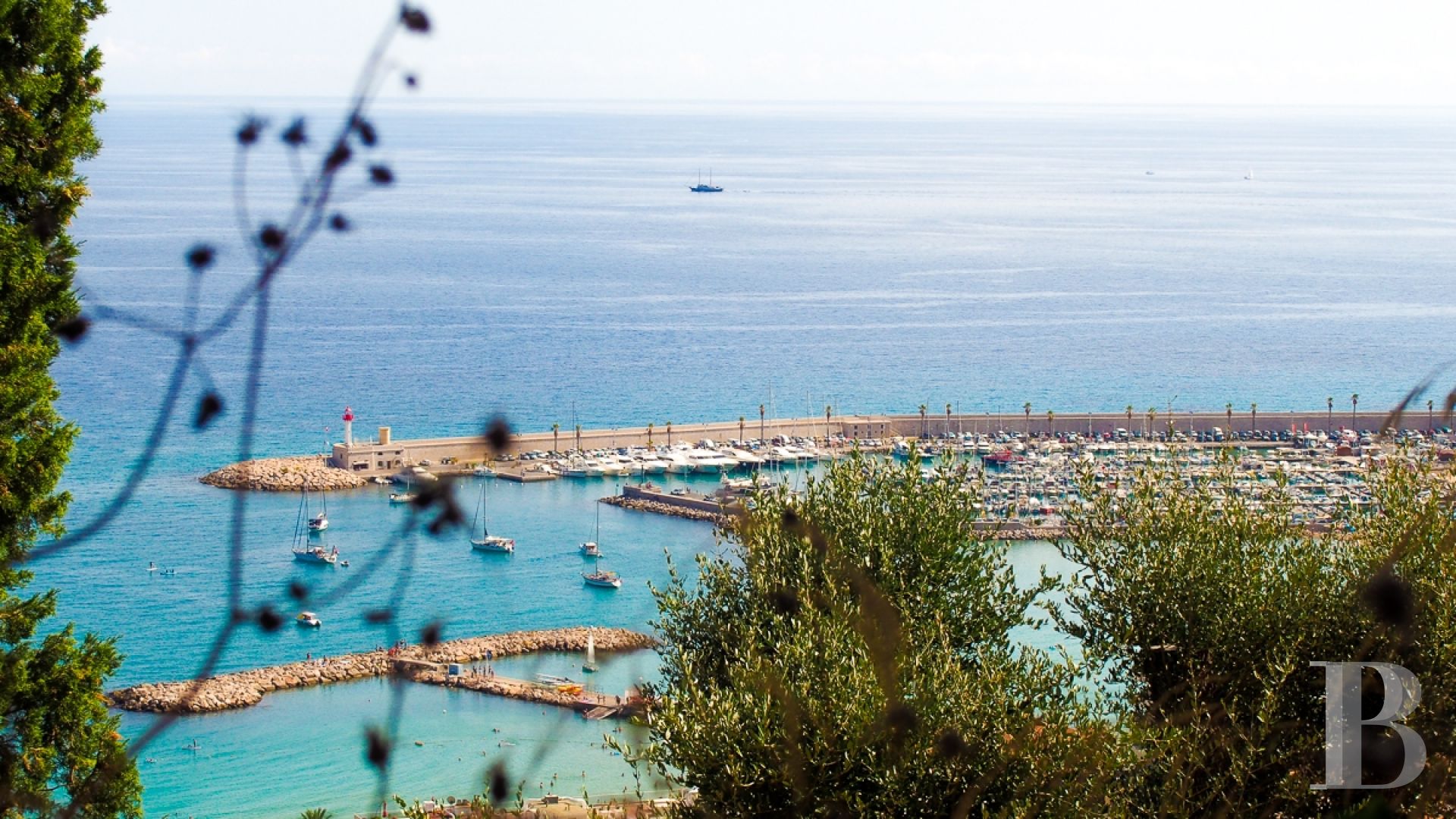 An old, 1.5 ha olive grove in the midst of Menton, dominating the port
