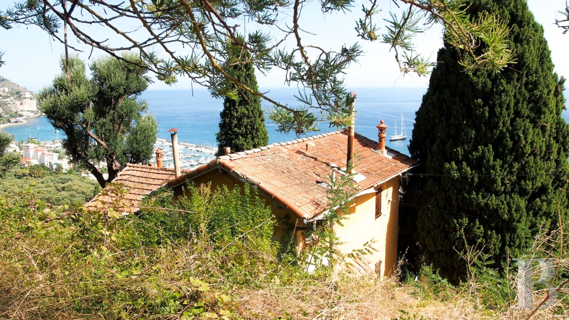 An old, 1.5 ha olive grove in the midst of Menton, dominating the port