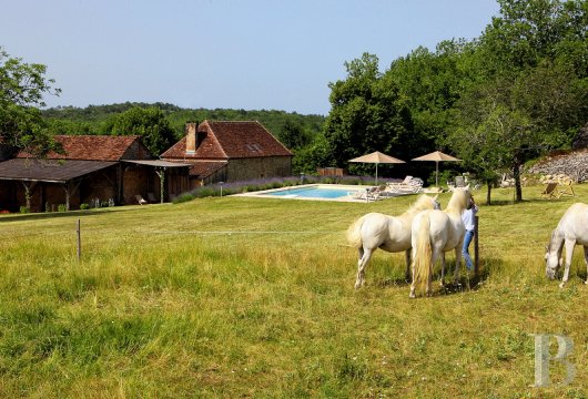 En Dordogne, une ancienne ferme rendant  hommage aux traditions du Périgord Noir - photo  n°3