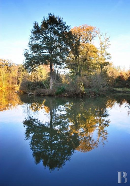 Entre Angers et Cholet, un château de famille entouré de ses terres - photo  n°3