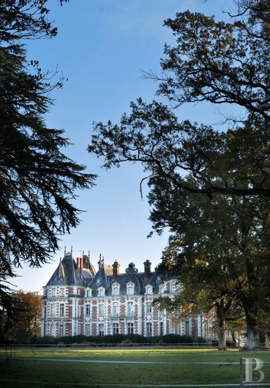 Entre Angers et Cholet, un château de famille entouré de ses terres - photo  n°24