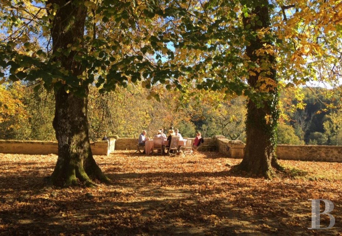 Au nord de la Dordogne, entre Périgueux et Limoges, un élégant château du 17e et son parc à perte de vue - photo  n°10