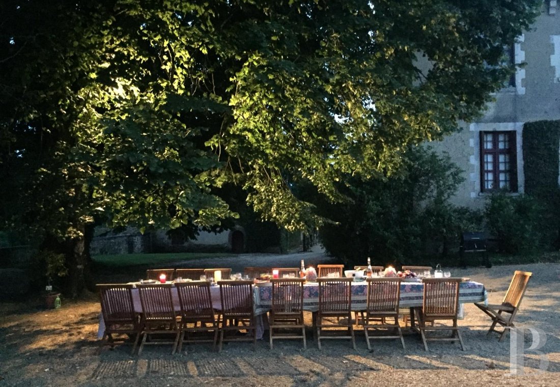 Au nord de la Dordogne, entre Périgueux et Limoges, un élégant château du 17e et son parc à perte de vue - photo  n°11