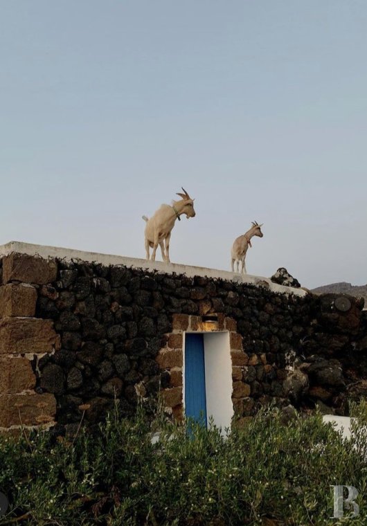 Sur l’île de Pantellaria, entre la Sicile et les côtes tunisiennes, un hameau de maisons traditionnelles en pierre de lave - photo  n°50