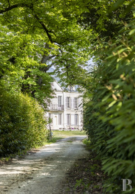 chateaux a vendre poitou charentes   - 3