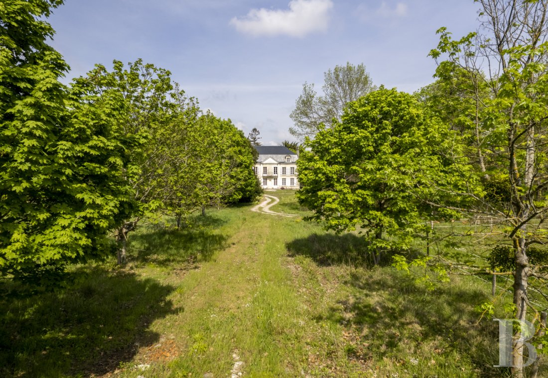 chateaux a vendre poitou charentes   - 15