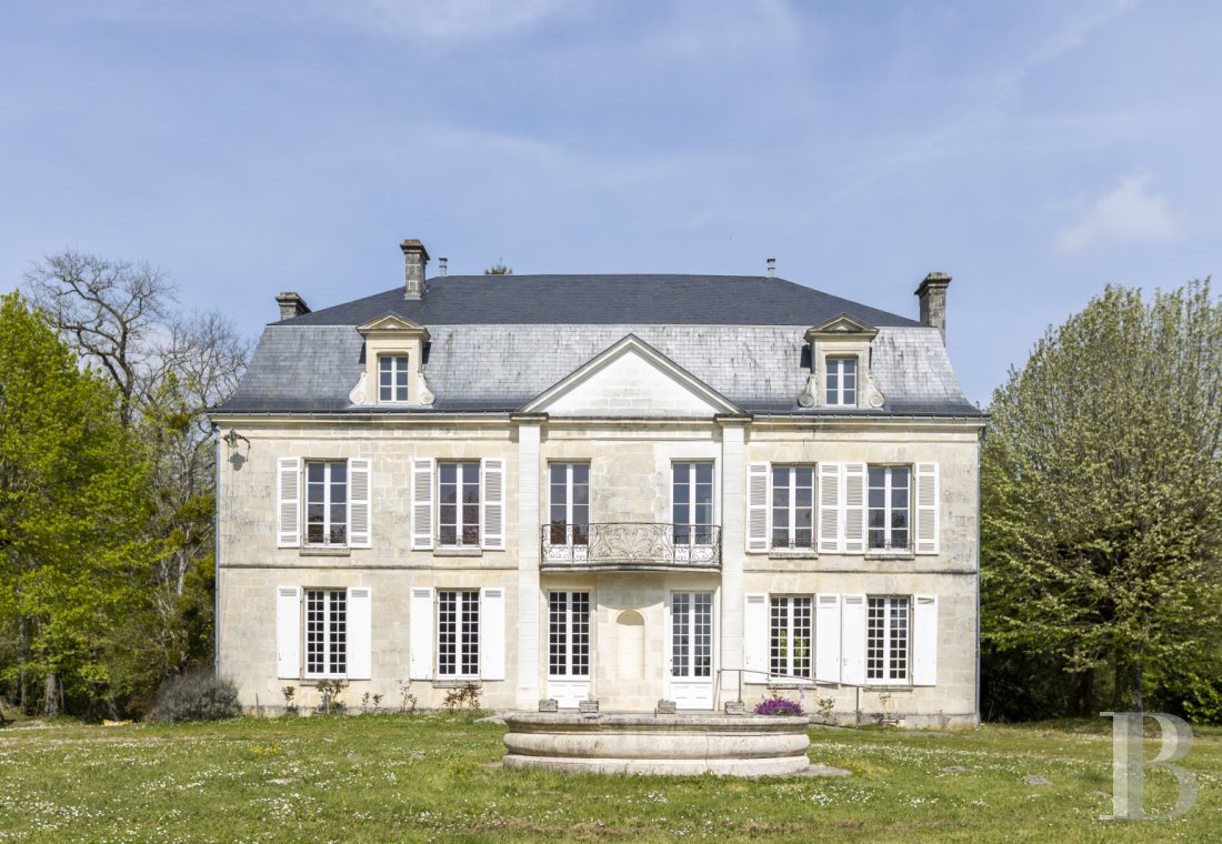 chateaux a vendre poitou charentes   - 2