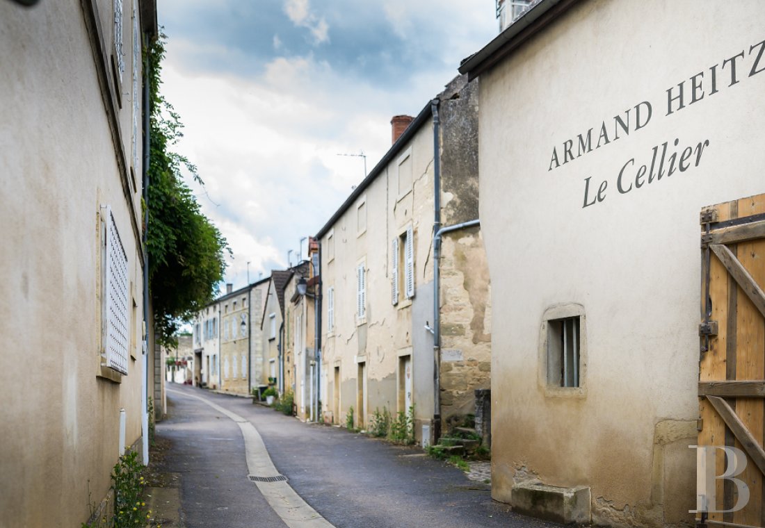 En Bourgogne, au sud de Beaune, un château affilié aux grands vignobles et à la permaculture - photo  n°39