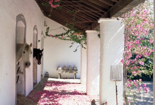 Dans le sud de l’Espagne, en Andalousie, un ancien « cortijo » dédié à la villégiature - photo  n°10