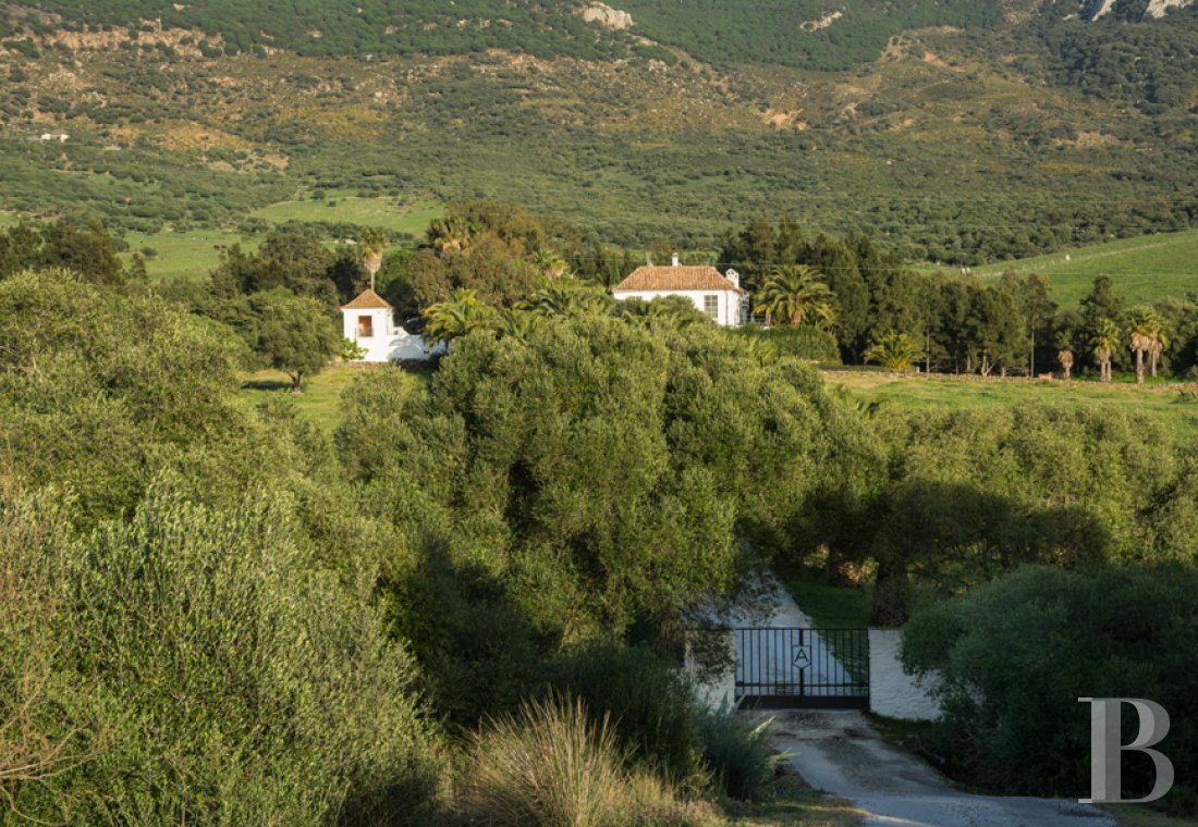Dans le sud de l’Espagne, en Andalousie, un ancien « cortijo » dédié à la villégiature - photo  n°9