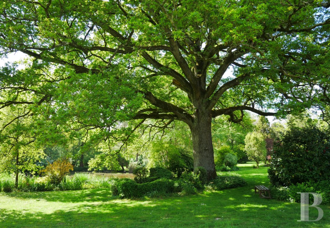 manoirs a vendre bretagne   - 18